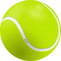 Tennis ball